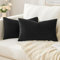 Slozzi 2er Set Samt Kissenbezüge Haushalt Dekokissen Dekorative Kissenhülle Weich Sofakissen für Sofa Schlafzimmer Wohnzimmer 30x50 cm Schwarz
