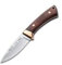 LO TRINCO YO. Muela Cuchillo Colibri COL-7M hoja de acero MoVa de 7 cm y empuñadura de madera prensada para Caza, Pesca, Supervivencia y Bushcraft