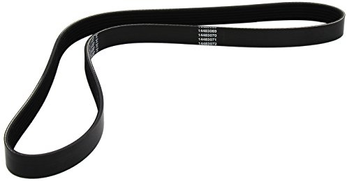 Metzger 6PK1137 DAYCO Keilrippenriemen | Kompatibel mit: DAIHATSU CHARADE VIII, FIAT BRAVO I, MAREA, MAREA Weekend, HONDA JAZZ II, LANCIA LYBRA, LYBRA SW, MAZDA CX-9