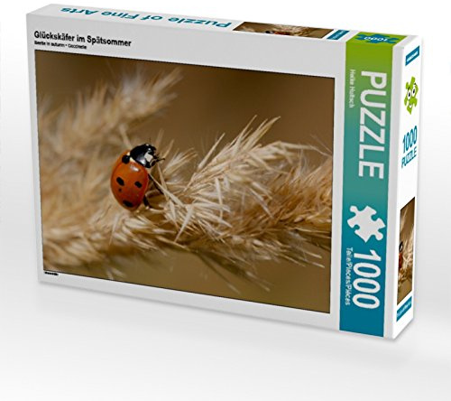 CALVENDO Puzzle Glückskäfer im Spätsommer | 1000 Teile Lege-Größe 64 x 48 cm Foto-Puzzle für glückliche Stunden