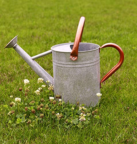 WEQUALITY Gießkanne für Outdoor-Pflanzen, rustikale Metall-Pflanzen-Gießkanne mit Kupfergriffen, 4,5 l verzinkter Stahl-Gartenwerkzeug, Vintage-Silberfarbe