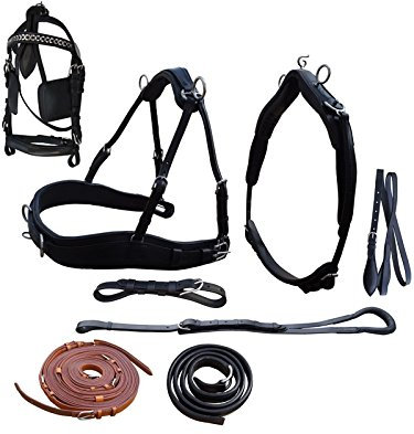 Riding Zweispännergeschirr Top Class Pony schwarz