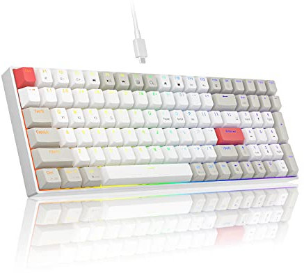 NEWMEN GM1000 Wireless Mechanical Keyboard NKRO,USB-C&2.4G&Bluetooth RGB backlit Programmable Hot Swappable Gaming Keyboard for Win&Mac&Android,US Layout,Gateron brown switch