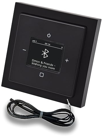 Busch Jäger DAB+ Unterputz Bluetooth (in and out) Radio (8217U-101) Future Linear Anthrazit, Komplett-Set 8217 U – 101, Rahmen und Radioabdeckung + 0,9 m EBROM Wurfantenne zur Empfangsoptimierung