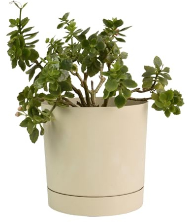 B2C Plant Pots Indoor Outdoor Plastic Marble Concrete Flowerpot Small Medium Large Tubo 5 Colours (20 cm, Cream)