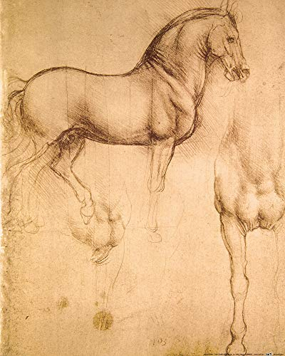 1art1 Leonardo Da Vinci Poster Pferdestudie, 1493-1494 Kunstdruck Bild 50x40 cm