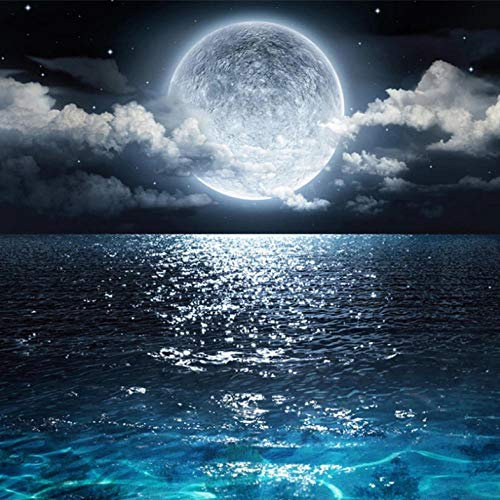 Fototapeten Nacht Mond Ozean Landschaft Non-Woven Vlies Tapete 3D Effekt Wandbilder XXL Wandbild Moderne Wanddeko Wandtapete Wohnzimmer Schlafzimmer Büro Flur Wand Dekoration, 300 x 210 cm