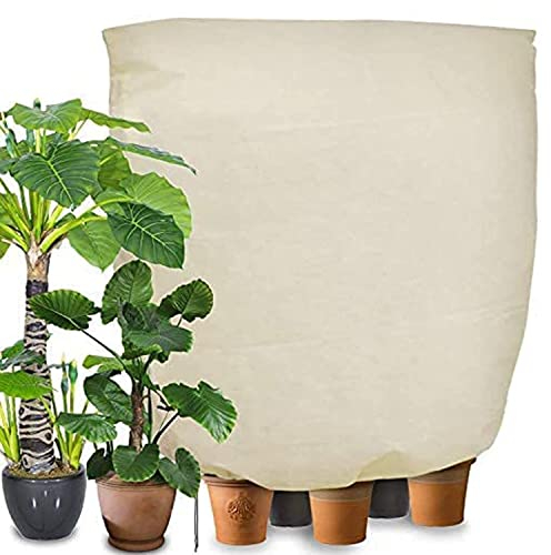 Winterschutz für Pflanzen Frostschutz, 240 x 200cm Frostschutz Schutzhaube mit Reißverschluss für Baum Palmen Balkonpflanzen haube Zelt Atmungsaktiv - Reißfest - Wiederverwendbar(Beige)