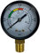 well2wellness® Pool Manometer Wasser Druckmesser mit seitlichem Anschluss (unten) 1/4 Zoll 0-3 bar (P2228)
