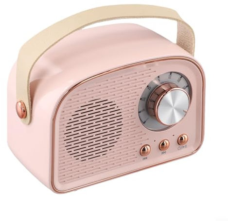 Hasaller Wireless Retro Speaker Vintage Portable Wireless Speaker with FM Radio Stereo Sound Built-in 500mAh Battery Type-C Charging 5Hours Playtime Mini Blue-tooth Speakers for Home Office(Pink)