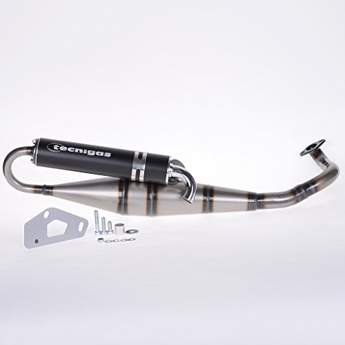 Auspuff Tecnigas Next R Pegasus R50X 50 TGB Bull&t BM Bullet