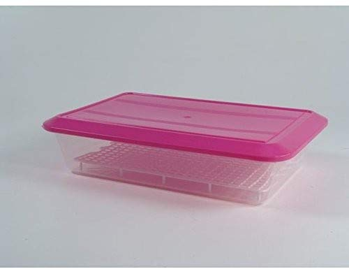 Mundigangas Contenitore per Alimenti in Plastica da 4,2 Lt con Griglia e Coperchio, Riciclabile, Non adatto per Lavastoviglie o Microonde, Ideale per Cibi Vari, Frutta e Verdura, Leftovers
