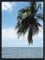 Cadre Photo Mural 15x21 cm / 21 x 15 cm Cadres Noir, 2 cm de Largeur, Cadre en Bois