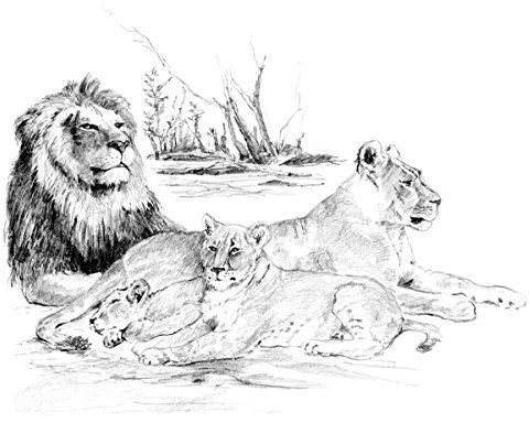 Royal & Langnickel 15 x 11 Lion Pride Pre-Printed Large Sketching Made Easy Drawing Set