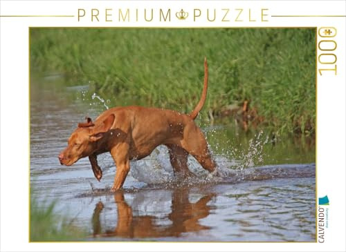 CALVENDO Puzzle Jagdhund Magyar Vizsla | 1000 Teile Lege-Größe 64 x 48 cm Foto-Puzzle für glückliche Stunden