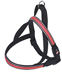Nobby Norwegergeschirr FLASH MESH, rot S: L: 50-65 cm + 48 cm, B: 25 mm, 1 Stück