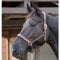 CATAGO Lederhalfter - braun - Warmblut