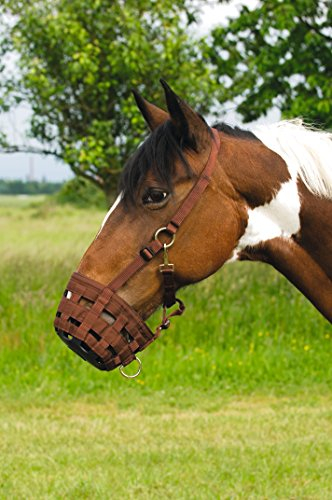 Nylonmaulkorb Warmblut, schoko