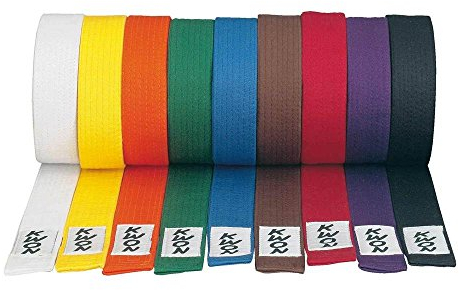 Kampfsport Gürtel von Kwon v. Farben und Längen (grün, 220)