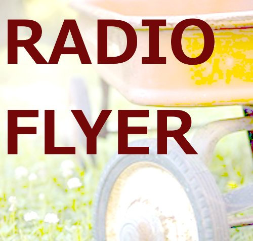 Radio Flyer (English Edition)
