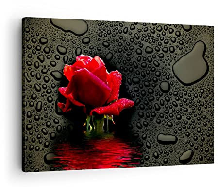 Moderne Impression sur Toile Fleur rose rouge eau rosée Image Tableau Decoration Murale 70x50cm Deco Cadre Décoration Salon Chambre Cuisine Horizontal Tableaux Decoratifs Muraux Art Wall AA70x50-2367