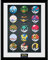 GBeye Collector Print - Pokemon Pokeballs
