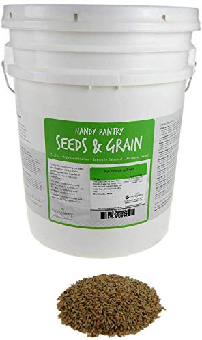 35 Lb Bulk Organic Rye Grain Seeds - Rye Seed for Sprouting Rye Berries, Rye Seeds for Organic Rye Flour, Rye Meal, Rye Pasta, Marble Rye Bread, Rye Grain Berries, Cracked Rye Berries, and Rye Grass