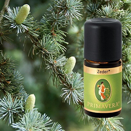 Primavera Bio Duftöle für Aromatherapie zu je 5ml, Duft:Zeder Bio