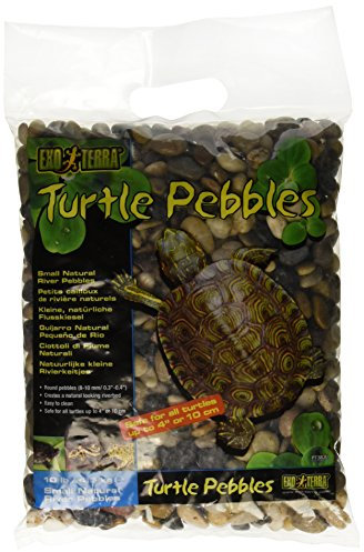 Exo Terra Ciottoli Tartaruga 4,5 kg, 8-10 mm