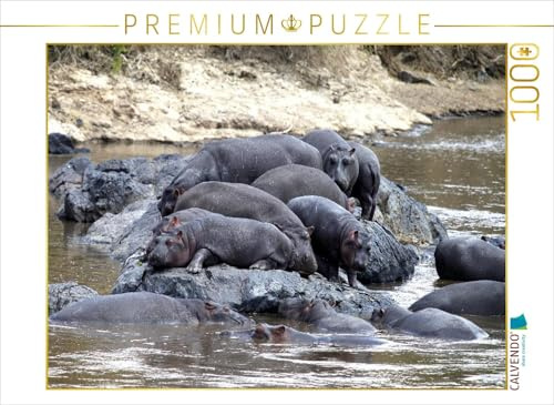 CALVENDO Puzzle Flusspferde – felsiger Rastplatz | 1000 Teile Lege-Größe 64 x 48 cm Foto-Puzzle für glückliche Stunden