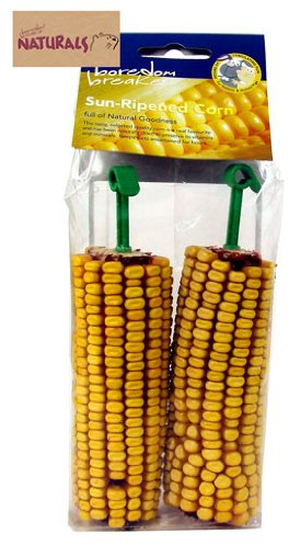 Boredom Breaker Cereal Treats Sun Ripened Corn Pets Small Animals Edible 5025659196435