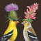 Paperproducts Design Dekorative Getränke-Papierservietten, Tischdekoration, Einweg-Servietten, Cocktail-Servietten, für Mittagessen, Abendessen, Geburtstage, Partys, 20 Stück, Vicki Sawyer Goldfinch