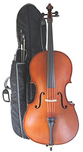 Primavera 100 1/10 Size Cello Outfit