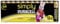 Duracell Simply AA Batteries Pack of 12