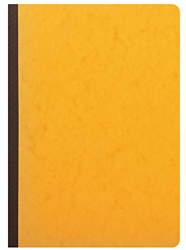 Exacompta 17020E Mehrkolonnenheft (DIN A4, 21 x 29,7 cm, gebunden mit 2 spalten auf 1 Seite und 34 Zeilen, 40 Blatt, 100 g) 1 Stück 2 Spalte / 1 Seite