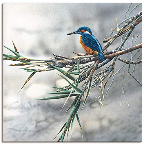 ARTLAND Wanddeko Leinwand Bilder Wandbild Eisvogel Tiere Vögel Natur Landschaft Baum Kunst K7ZJ