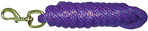 Hamilton Poly Leine mit Bolzenschnapper, 1,6 cm x 3 m, Violett