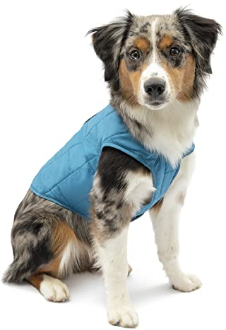 Kurgo Loft Jacke Reversible Hundemantel für kaltes Wetter Wasserabweisende Hundejacke mit Reflektierendem Rand, Blau/Orange, L