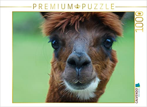 CALVENDO Puzzle Alpaka Augen | 1000 Teile Lege-Größe 64 x 48 cm Foto-Puzzle für glückliche Stunden