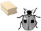 Stempel Holzstempel Motivstempel « MARIENKÄFER » Scrapbooking Embossing Basteln - Insekten Käfer Punkte