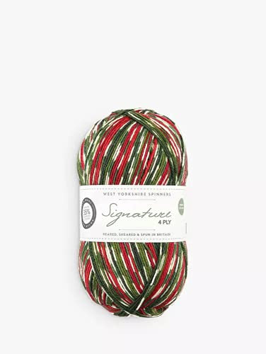 WYS Bluefaced Leicester Wolle Signature 4ply sock yarn 886-holly berry, 100g Wolle, Sockenwolle musterbildend mit blue faced leicester wool