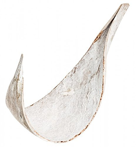 NaDeco Kokosblatt Medium Galera weiß 5 Stück Palmen Blatt Kokosschale Dekoblatt Palmenschale Palmenblatt