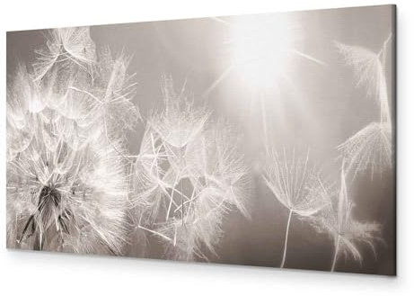 murando Akustikbild Bilder Akustikschaum Hochleistungsschallabsorber Schallschutz Leinwand 1 tlg Wandbild Raumakustik Schalldämmung Blumen Blitz Pusteblumen Natur b-C-0161-b-a