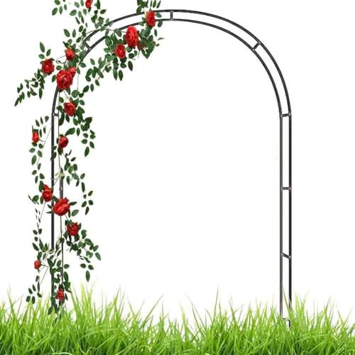 WCQSYY Arco De Jardin para Plantas Arco De Hierro Forjado para Plantas Trepadoras Arco De Rosales para Plantas Trepadoras,Blanca,W1.4M*H2.3M