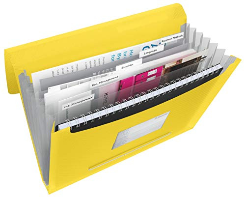 Esselte 624020 Fächermappe VIVIDA, A4, PP, 6 Fächer, gelb