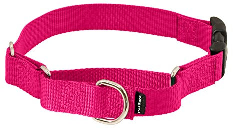 PetSafe Martingale-Hundehalsband mit Schnellverschluss-Schnalle, Größe M, 1,9 cm, Himbeere