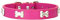 Mdurian Collier de Chien clouté en os de Cuir véritable, Colliers de Taille réglable Confortables pour Petit Chien Moyen (M, Rose)