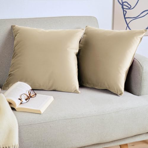 Blumtal 2er Set Kissenbezug 40x60 cm Beige - dekorativer Samt Kissenbezug mit verstecktem Reißverschluss, Kissenhülle für Zierkissen Deko-Kissen Polster Sofakissen & Couchkissen, waschbar