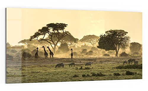DEQORI WTD - Cuadro de cristal (100 x 50 cm, diseño de sabana en la noche, horizontal, 1 pieza, 100 x 50 cm, decoración de pared moderna