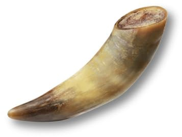 ComfyCradle All-Natural Water Buffalo Horn for Dogs, an Ultra-Durable Chew Toy to Reduce Boredom and Clean Teeth, for Large & Giant Breeds(1 Count(Pack of 1))